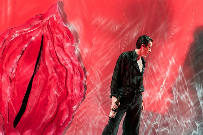 Die Fledermaus